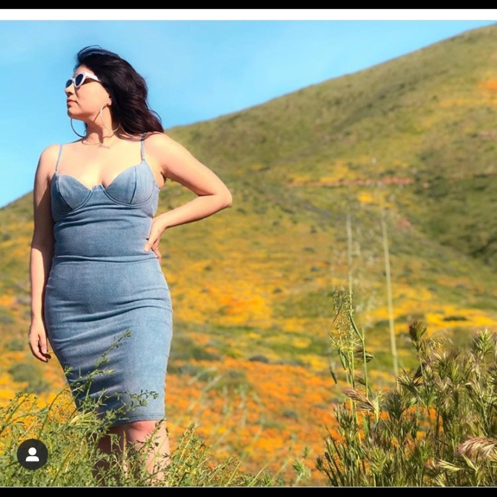 Denim Windsor Bodycon Padded Dress pinup sexy